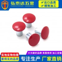 供應烤漆鐵鉚釘 烤漆銅鉚釘 烤漆鋁鉚釘 可定制多種色