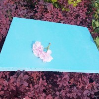 二氧化碳擠塑板環保節能擠塑板b1級阻燃擠塑保溫板 外墻擠塑板