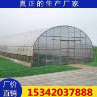 靈芝大棚種植 廠家供應靈芝種植塑料溫室大棚骨架專業設計安裝