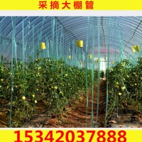 廠家供應大棚管 蔬菜大棚架子 鍍鋅大棚管 大棚配件