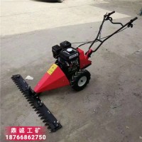 江西吉安往復式汽油草坪剪草機割草機 手推式草坪修整牧草收割機
