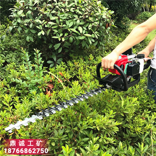 17 汽油綠籬機(jī) (4)