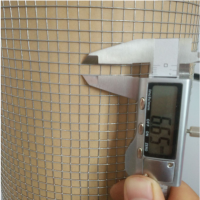 不銹鋼電焊網 小孔不銹鋼蛇籠網