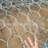 河道護(hù)坡石籠六角格賓網(wǎng)箱擋墻