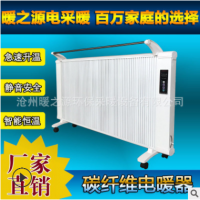 遠紅外加熱電取暖家用碳纖維家用節能取暖器氣片家用電暖器