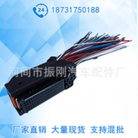 適用于電裝國四電腦版插頭底盤規格齊全可定制