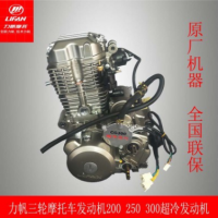 力帆動力175200250超冷300水冷摩托全新機頭發動機