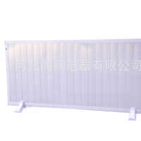 碳纖維電暖器家用節(jié)能省電遠(yuǎn)紅外電取暖器壁掛移動式