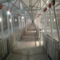 全新自動上料系統豬用自動飼料機全套自動料線設備自動料線