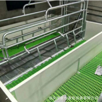 母豬產床 雙體豬產床復合母豬產仔床 養豬設備直銷