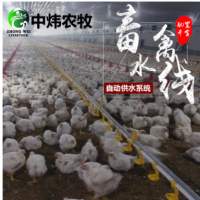肉雞肉鴨肉鵝自動化供水系統 水線料線養雞設備