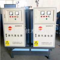 蒸汽發生器 電加熱蒸汽發生器