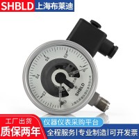 YXXD-100-Z電信號電接點壓力表