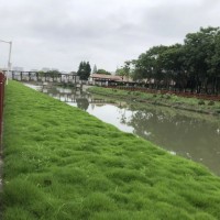 生態混凝土-綠化混凝土-植生混凝土-植被砼-生物基質混凝土