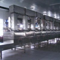 微波食品膨化設備