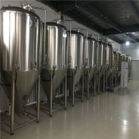 工廠型啤酒設備500升小型精釀啤酒設備發酵罐不銹鋼啤酒設備