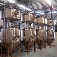 兩鍋三器精釀啤酒設備糖化系統 自動化啤酒設備機器