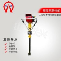 泰州Z3G-250電動搗固機工程機械　