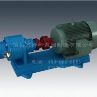 內蒙古油泵定制生產_泊頭特種泵閥廠家零售內嚙合齒輪油泵