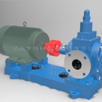 福建不銹鋼泵訂制|泊頭特種泵閥廠價直營2CY齒輪泵