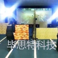 影像戰術對抗系統，模擬影像射擊系統，影像靶場建設標準