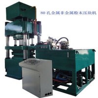 杭州自動金屬非金屬粉末成型壓塊機高產量 多孔成型Y