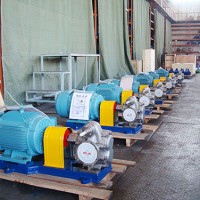 重慶KCB齒輪泵定制廠家-河北來福公司定制KCB300不銹鋼
