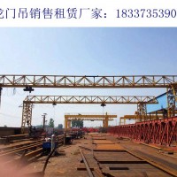 浙江麗水龍門吊租賃廠家門式起重機戶外使用