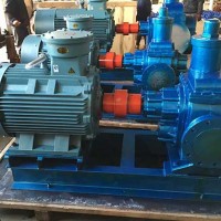 湖北轉子泵生產廠家-泊禹泵業-廠家訂做大流量齒輪泵