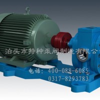 陜西不銹鋼齒輪泵定制~泊頭特種泵閥-直營可調壓式齒輪油泵