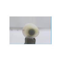 遼寧義眼哪里可以做_泊頭藝水碧天定做日本進口高分子義眼