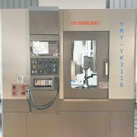 伊盟云3模齒輪加工設備數控高效滾齒機YMY-YK3116