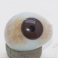 天津義眼片能看到東西嗎~藝水碧天醫療器械定制異型義眼