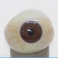湖南假眼價格/藝水碧天醫療器械定做異型義眼