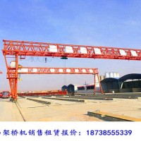 廣東廣州龍門吊出租廠家門式起重機發展方向