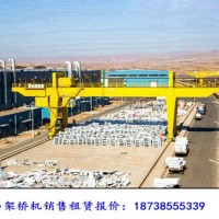 天津龍門吊出租廠家10噸龍門吊市場(chǎng)報(bào)價(jià)
