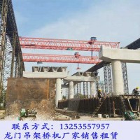 湖南邵陽龍門吊出租廠家產品概述