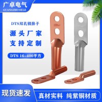 廠家批發DTS-120平方國標雙孔鍍錫銅鼻子 定做雙孔銅鼻子