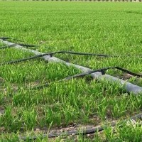 河北果肉多農業科技有限公司-滴灌配件任丘生產廠家