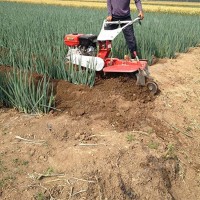 開溝機多功能開溝培土機的使用方法最新款多功能田園管理機