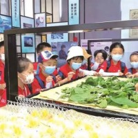 蘇州三六六社會實踐青少年研學之旅探索桑蠶文化傳承絲綢文明